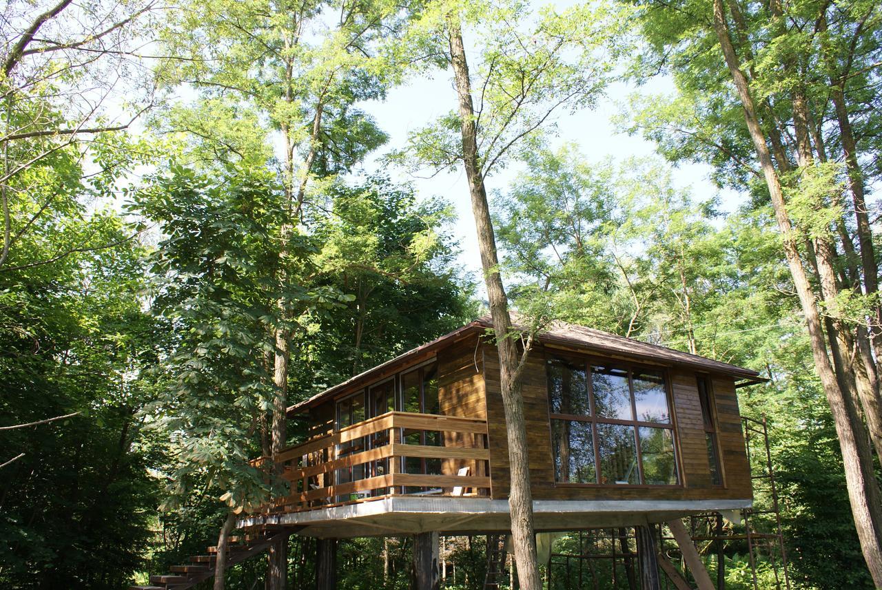 波卢巴库苏斯Porumbacu Treehouse别墅 外观 照片